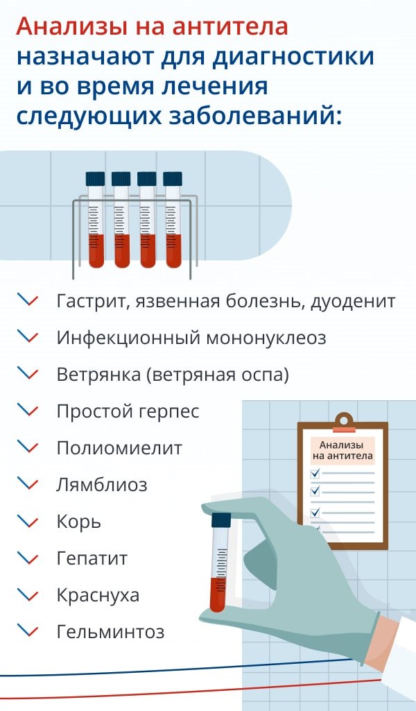   антитело
