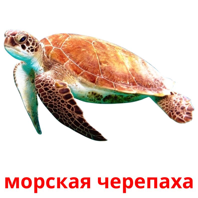 Удачный ключ к разгадке: интерпретация сновидений ⁤о морской черепахе