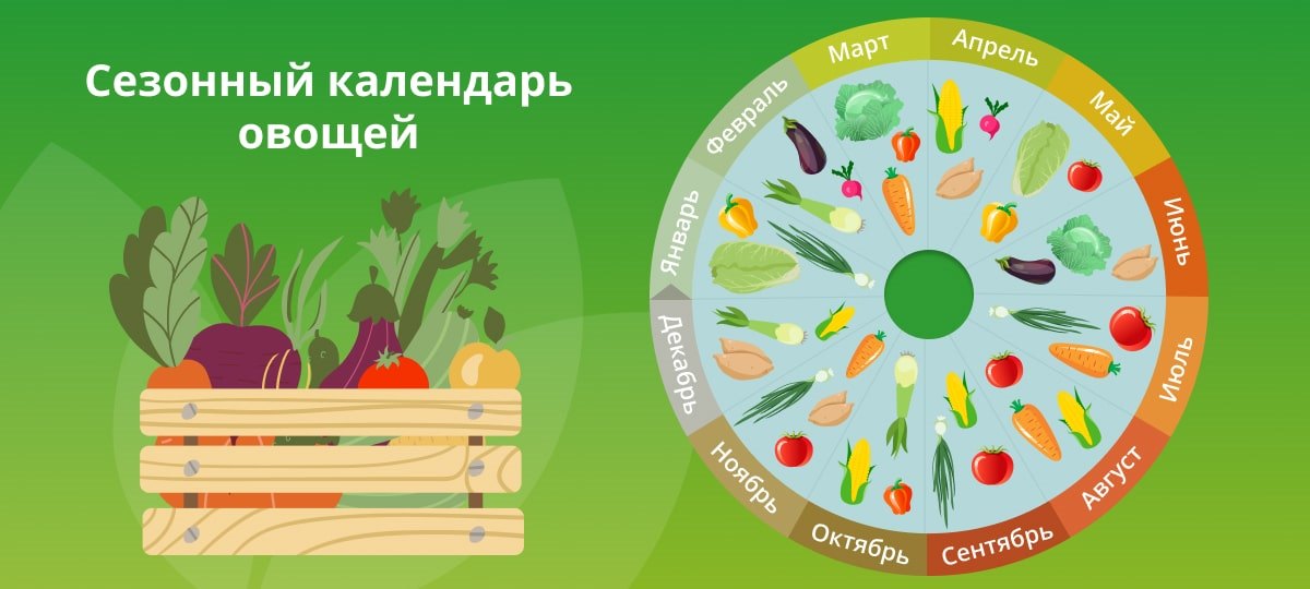 Экспертные⁤ заключения: глубокий анализ результатов, связанных с овощами.