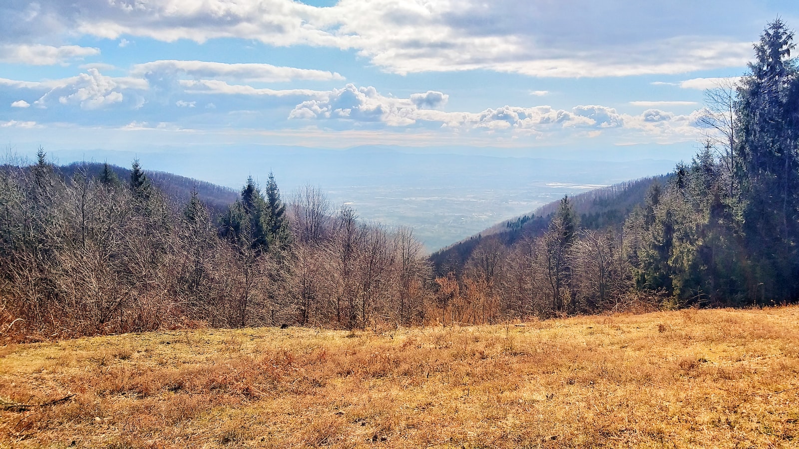 значения Символы и глубинные тайны снов⁣ 