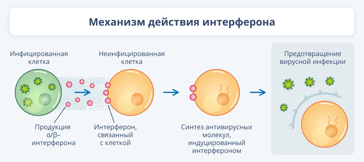 1. К
2. снится
3. батискаф