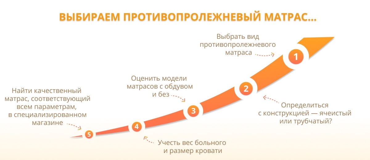 которые можно извлечь из фразы