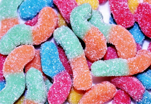 Pictures Of Gummy Worms