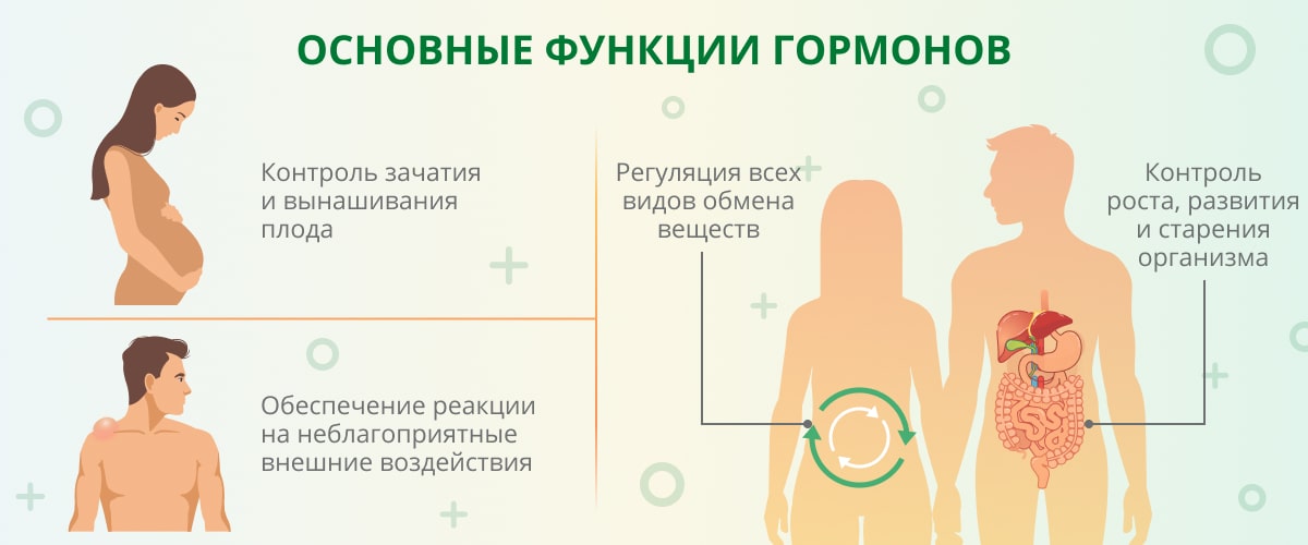 К чему снится радиоэлектроника?

1. К
2. чему
3. снится
4. радиоэлектроника