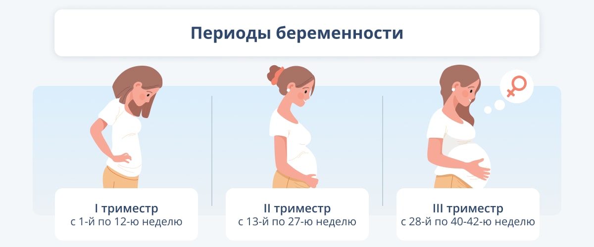 которые можно извлечь из фразы