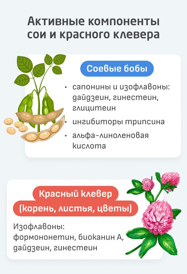 1. Снится
2. Слабо
3. Характер
4. Ность