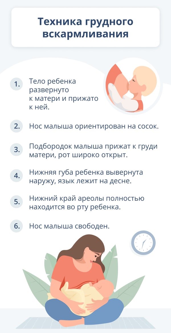 1. визг
2.​ снится
3. чему
4.⁤ к
