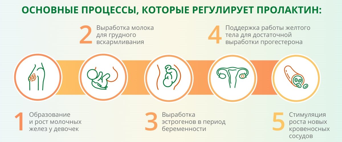 2.‌ Интерпретация сонника о к чему снятся родители парня