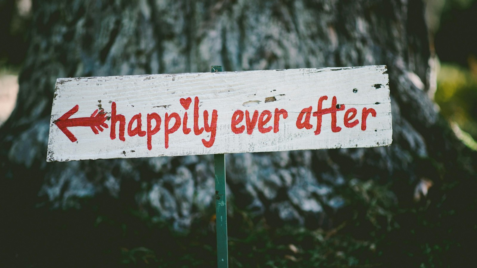 Here are some words that can be ​extracted from the phrase ‌ 