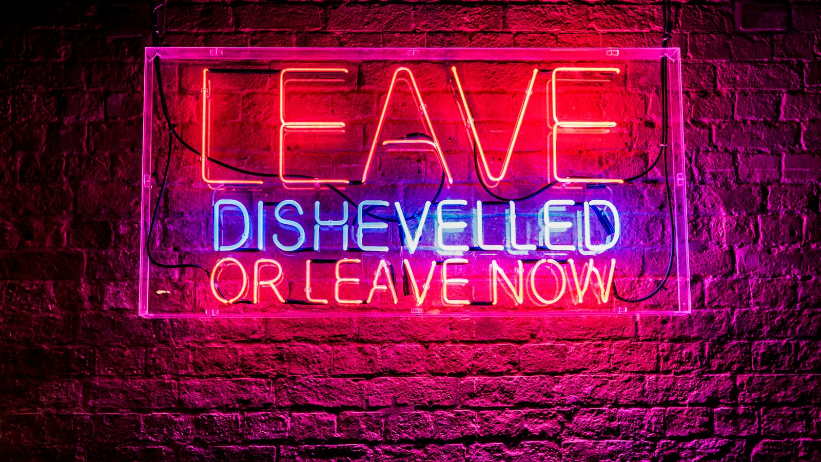 Below is the list of words that‍ can be extracted from the phrase 