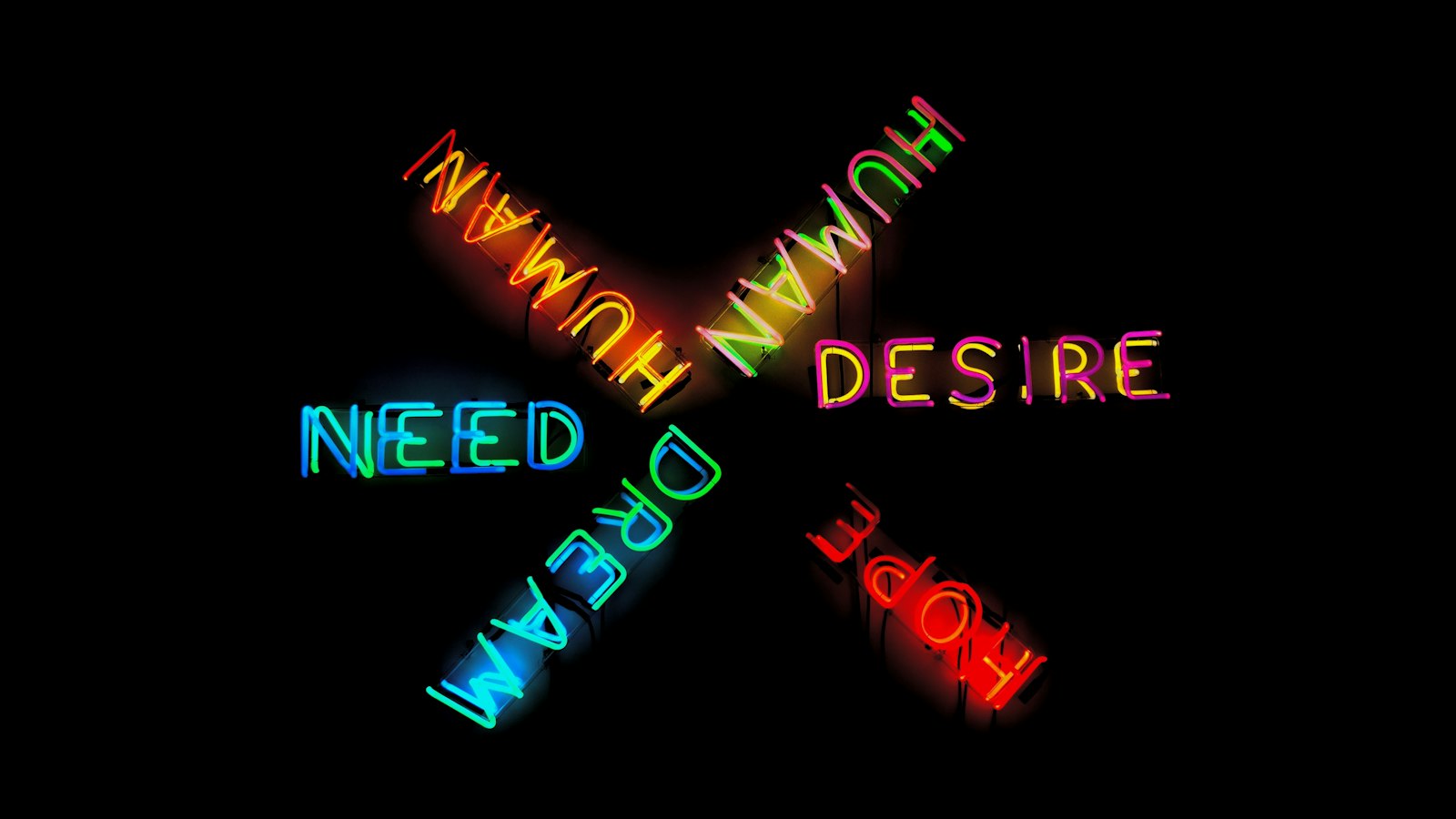 dream