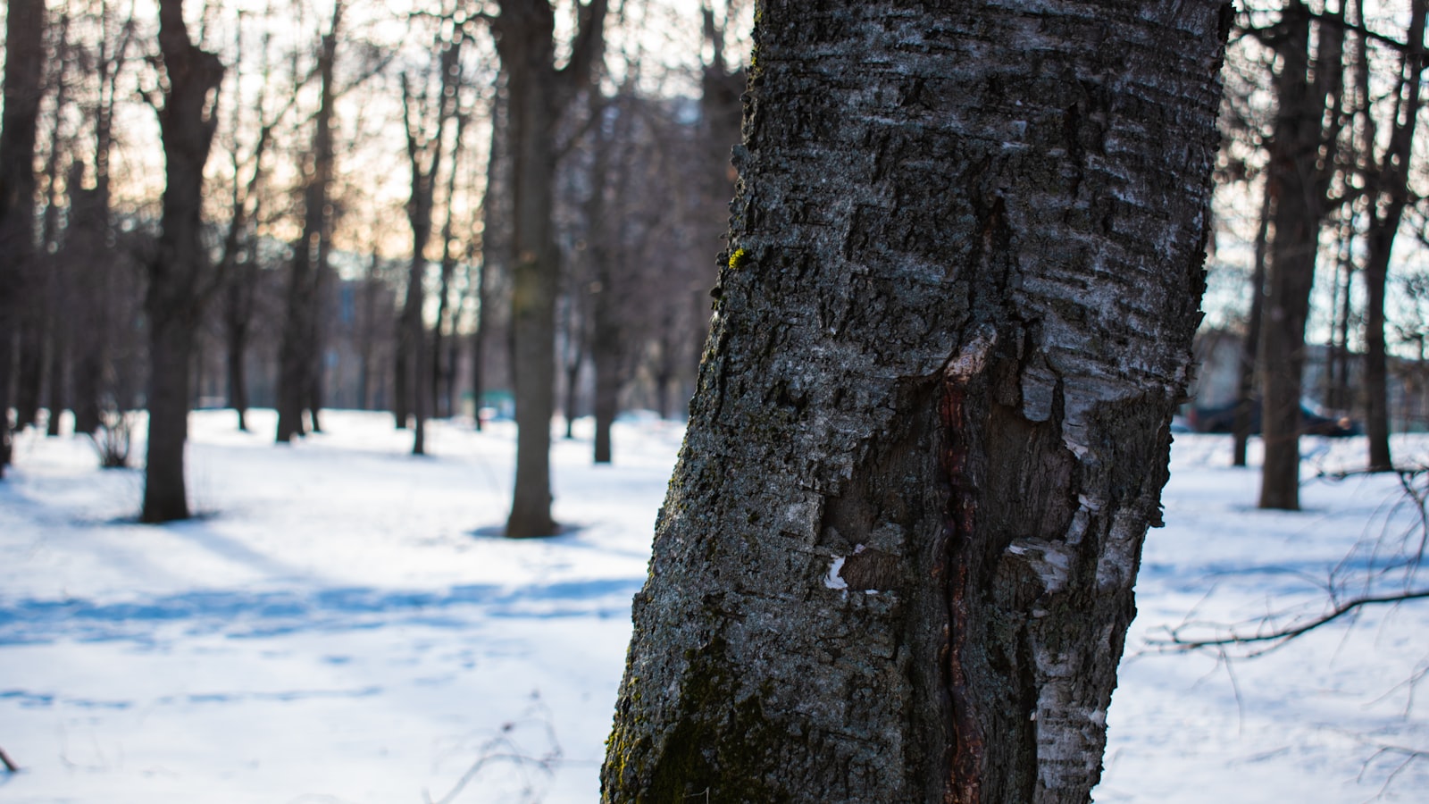 1. поддёв (Russian word meaning 