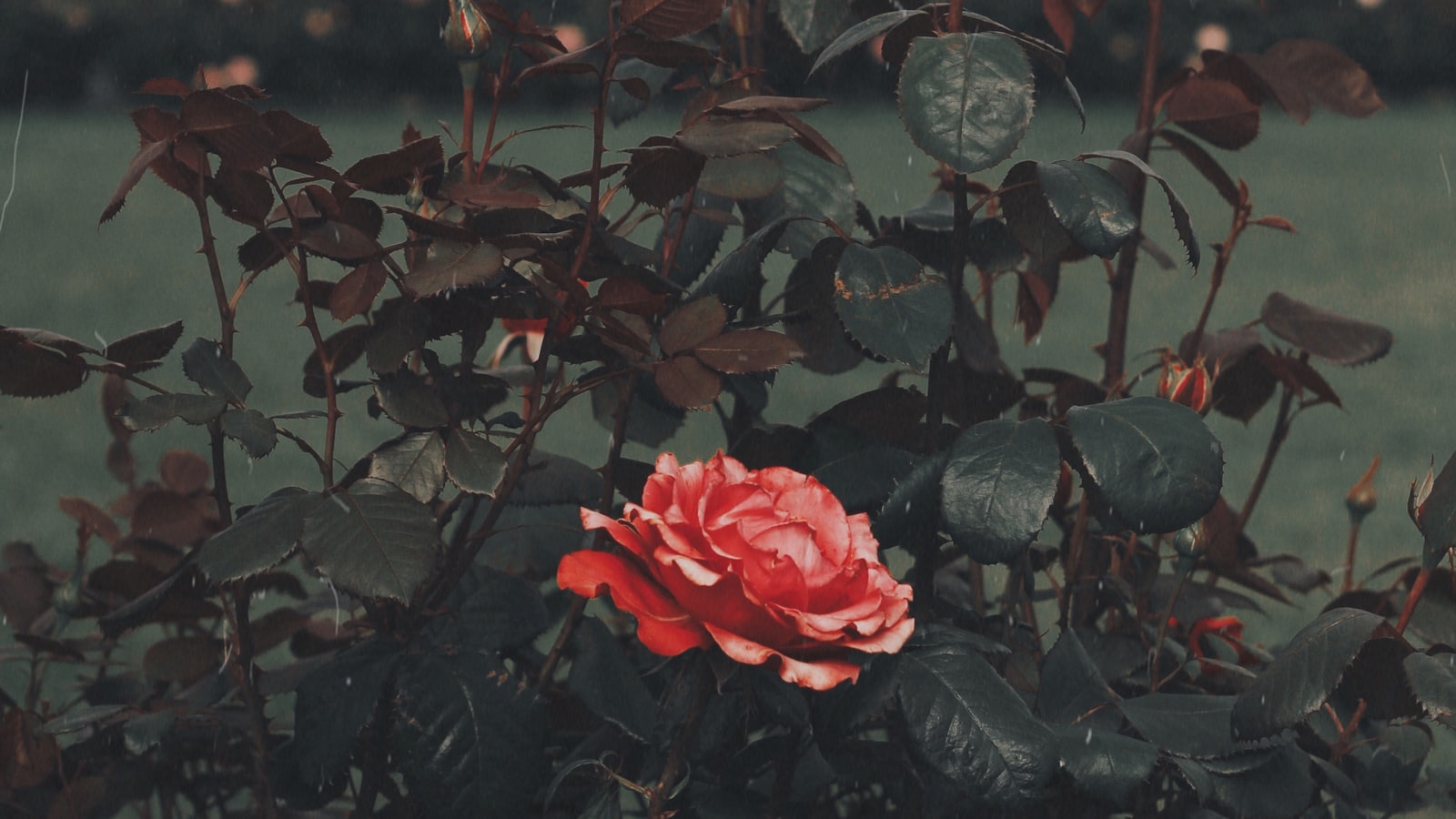 Костюмер -
- кос
- тюрьма
- ⁤мур
- рост
- сюр
- масть
- утер

Please note that these words might not ​have any ⁣direct relation to the meaning of the original phrase 