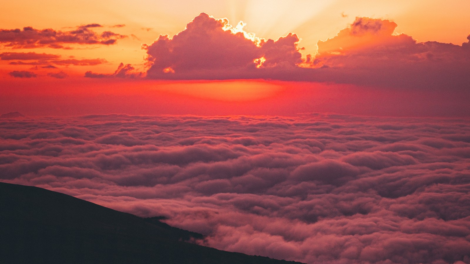 dream