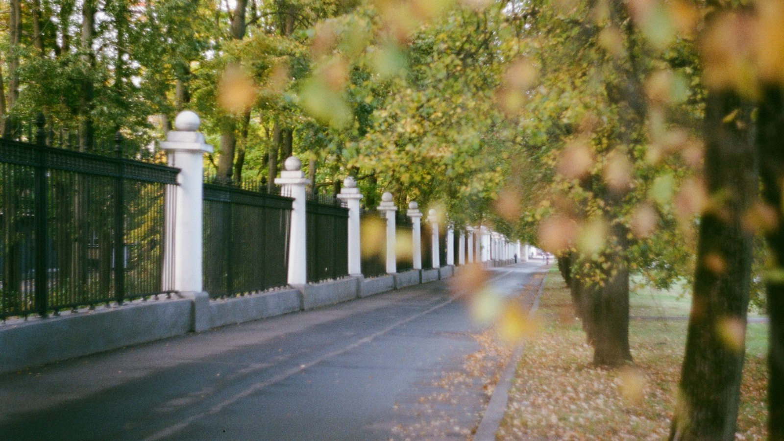 1. Виварий (vivarium)
2. Снится (dreams)
3. Чему (what)
4. Снит (dreamt)
5. Чем (than)
6. Рий (River)
7. Вивар (vivarium)
8. Мар (March)
9. Сива (Siva)