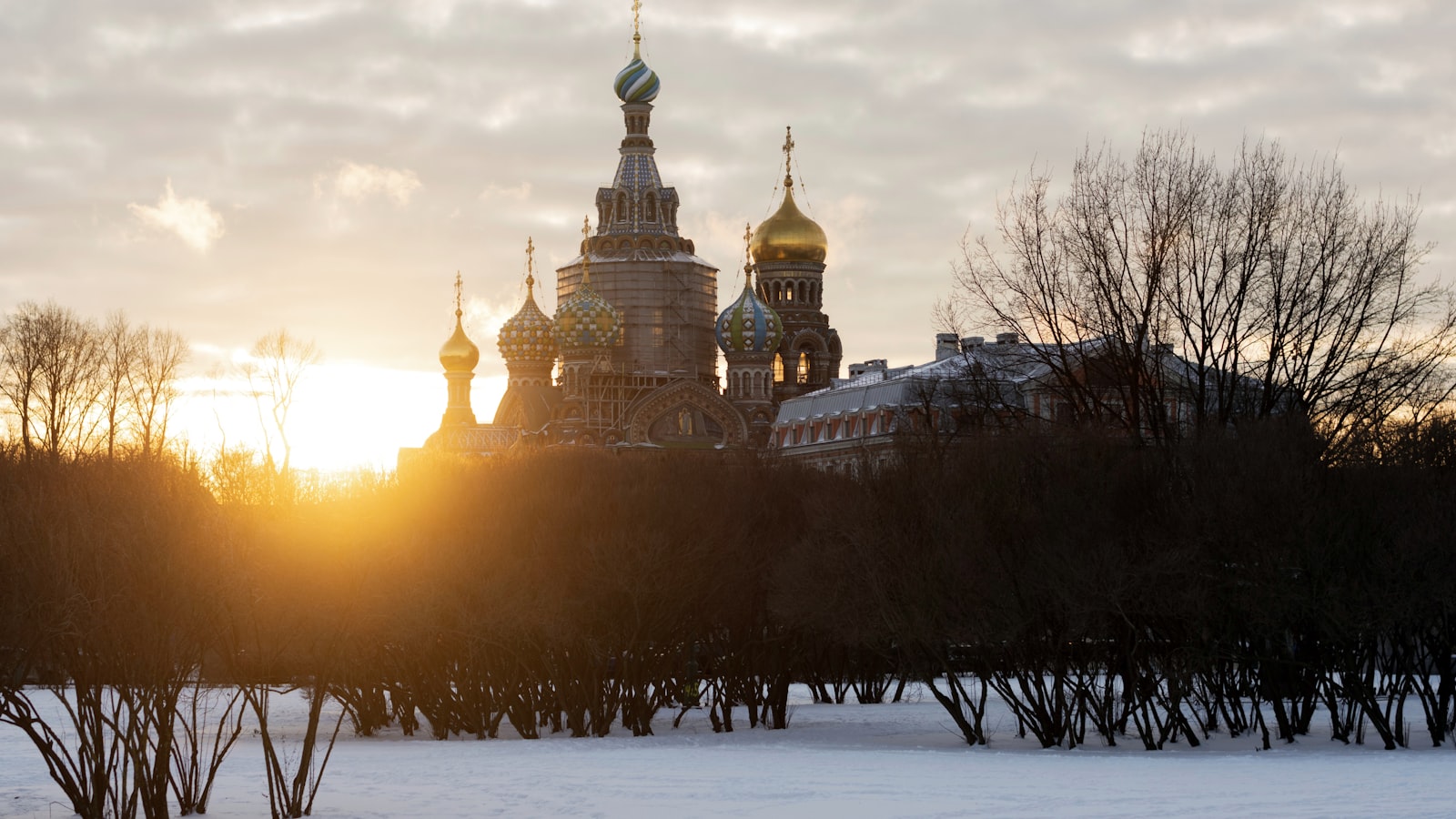 На основе фразы