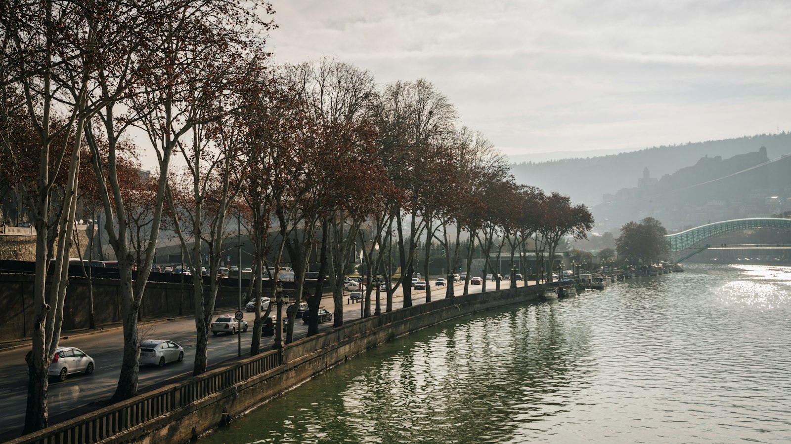 кура