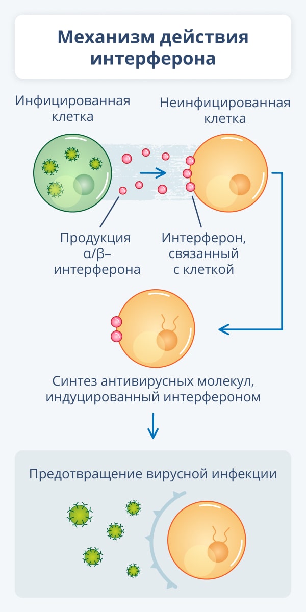 1. чёсаночек
2. снится
3. чему
4. ч
5. с
6. а
7. н
8. о
9. е
10. к
11. м