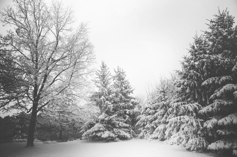 1. Волшебная символика ‌снежка в сновидениях: тайные значения и глубинные ⁢понятия.