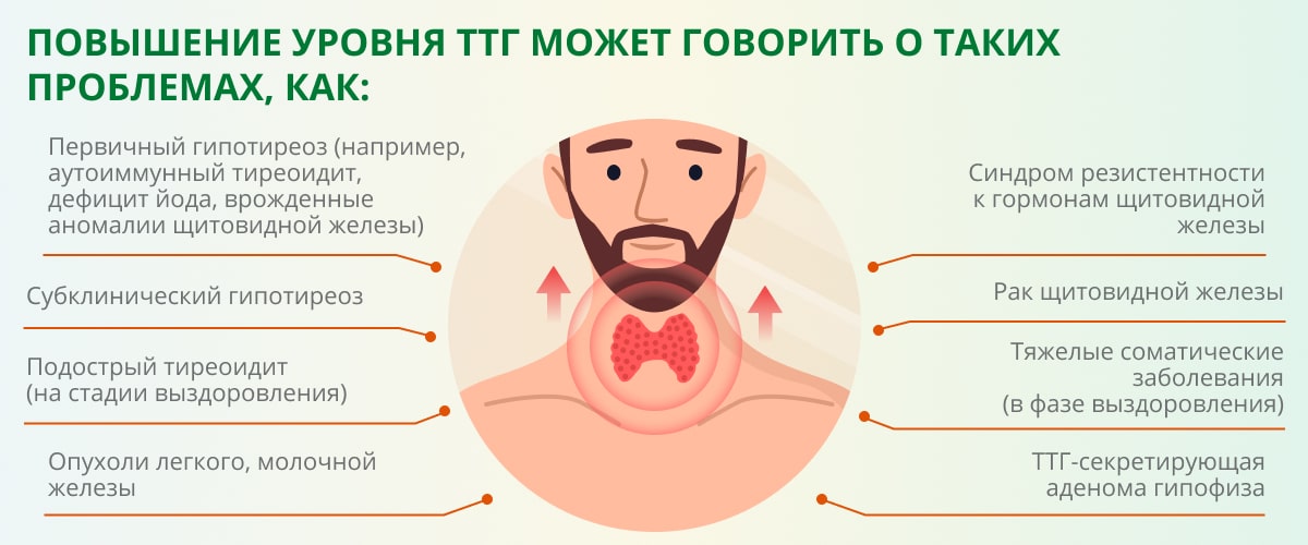   если ‍предположить