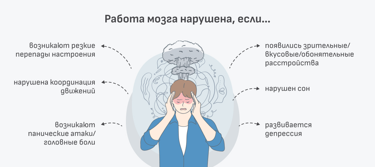 - Кровообращение
- Снится
- Чему